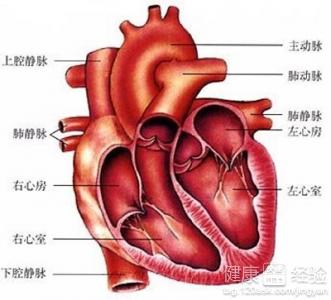 心髒病夏季要注意什麼呢