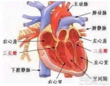 夏季要提防心力衰竭