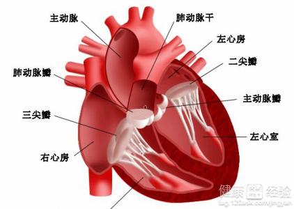 急性心力衰竭怎麼治療