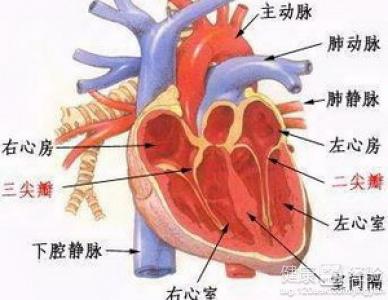 急性心力衰竭有什麼表現