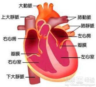 教你自己診斷右心衰竭？