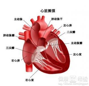 心髒病需要注意些什麼？