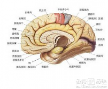 第1步