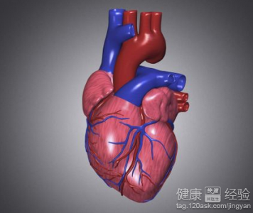 運動後牙疼要查心髒三類人血管老得快