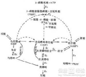 高尿酸血症治療方法