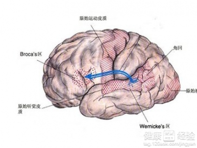 第1步