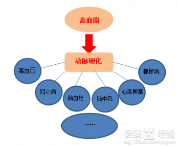 認識血脂檢查幾項指標