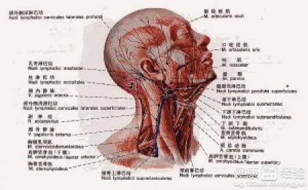 腦出血的治療方法