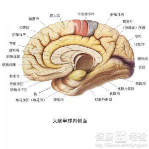 中風是怎樣產生的