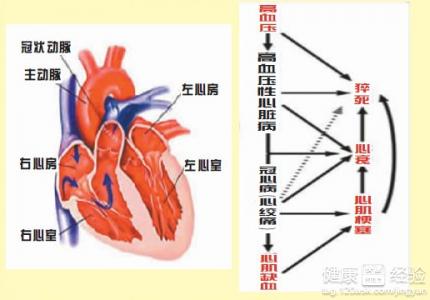 第1步