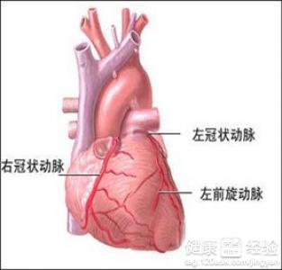 第2步