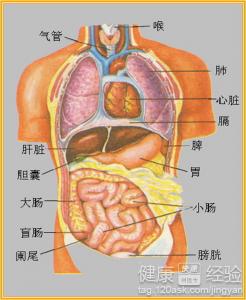 怎麼預防冠心病