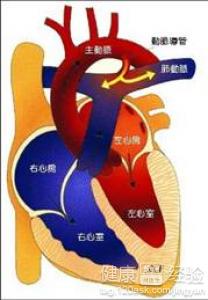 冠心病會讓心髒變大嗎