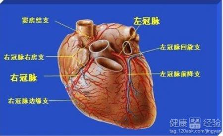 第2步