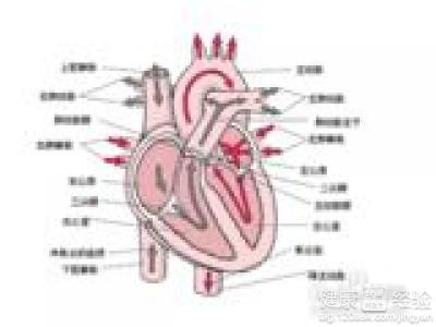 得了冠心病能不能治
