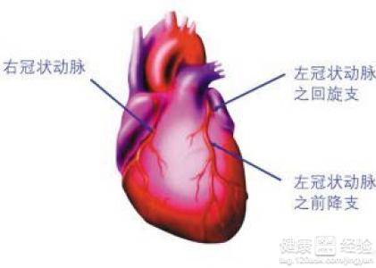 第1步