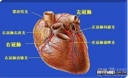 第1步