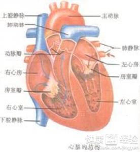 第3步