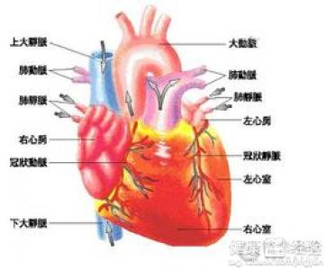 心肌缺血就是冠心病嗎