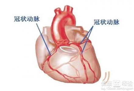 低血壓體質瘦冠心病睡眠差怎麼辦