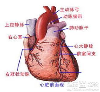 不同種類冠心病有怎樣的症狀呢？