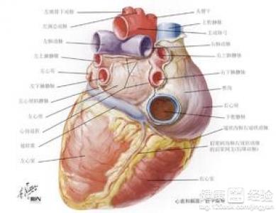 關於擴張型心肌病的檢查介紹