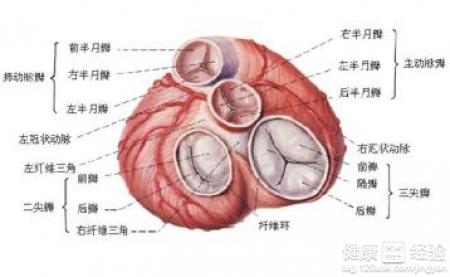 心肌病首發症狀是易疲乏