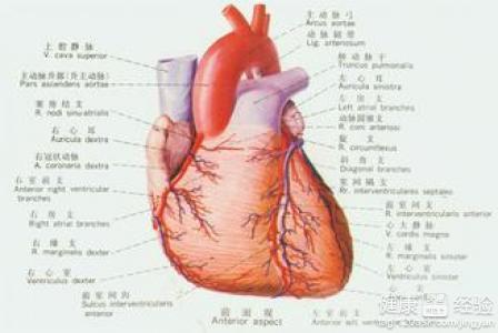 如何給心肌病做診斷？