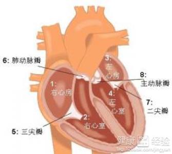 第1步