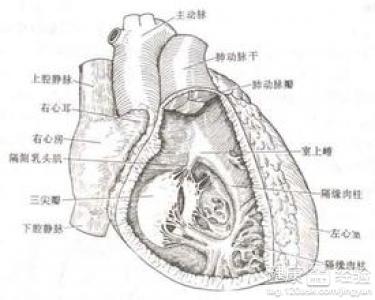 第1步