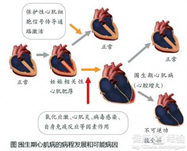 第1步