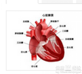 非對稱型梗阻性肥厚型心肌病能治好嗎