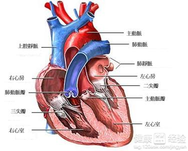 第1步