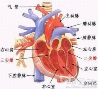 第2步