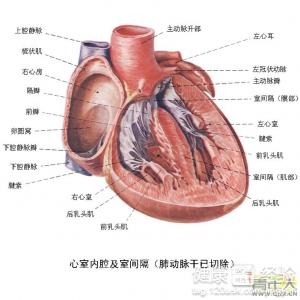 冠心病缺血性心肌病心功能三級是三種不同的病嗎