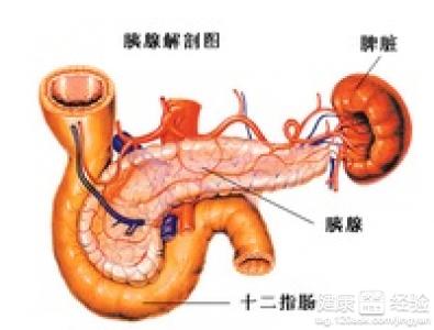 飲酒引起心肌病後引發重症胰腺炎怎麼辦