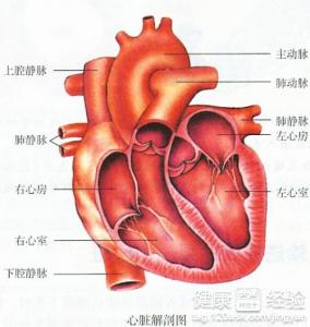 心肌梗塞的發病原因是什麼