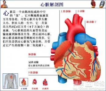 生氣會不會使人患心肌病