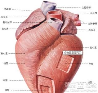 肥厚型心肌病有什麼治療方法