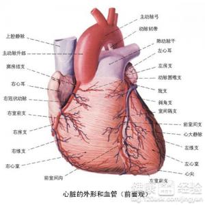 風濕性心髒病有什麼症狀