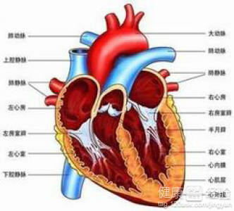 什麼原因引起風濕性心髒病