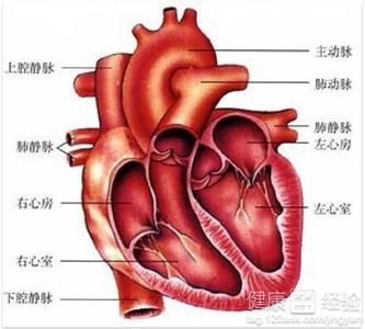 風濕性心髒病是怎麼引起的