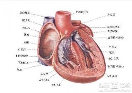 風濕性心髒病吃什麼水果好