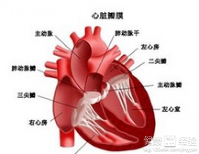 風濕性心髒病吃什麼藥才能痊愈