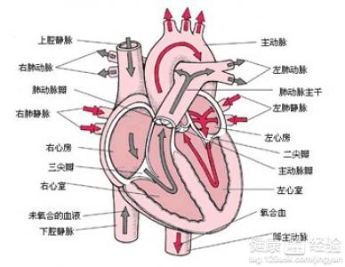 第1步