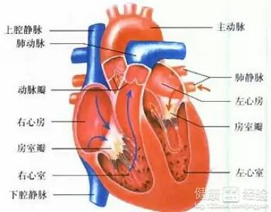 風濕性心髒病心衰肺癌晚期有辦法治嗎