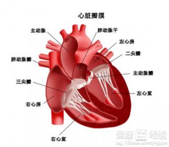 後天性風濕性心髒病好治嗎