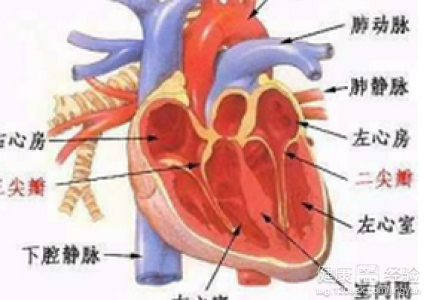 第1步