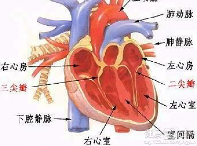 第1步