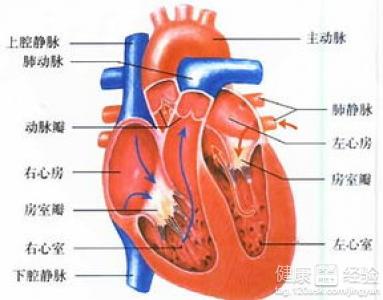 風濕性心髒病生活中怎樣預防